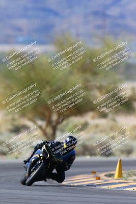 media/Apr-14-2024-SoCal Trackdays (Sun) [[70f97d3d4f]]/1-Turn 5 Tree of Life (920am)/